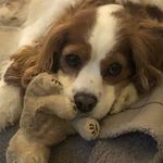 Brenda Doyle Fleming - @doylefleming - Instagram