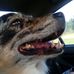 Doyle Fleming - Facebook