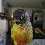 Marilyn Doyle-Lynch - @lynch_marilyn - Instagram