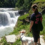 Bridget Doyle Ogden - @friendsoflinus - Instagram