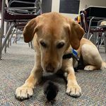 Perry Winkle Doyle - @perrywinkledoyle - Instagram