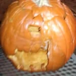 Doyle Robertson - @doylethepumpkin - Instagram