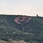 @_russell_doyle - Instagram