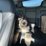 Doyle Russell - @doylerussell39 - Instagram