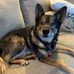 Doyle Short - Facebook