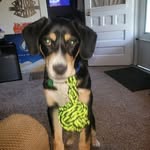 Doyle Wilson - @doylewilson33 - Instagram