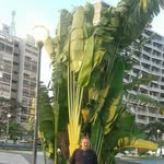 Dragisa Popovic - @dragisa.popovic.505 - Instagram