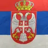 dragisapopovic - @dragisapopovic - TikTok
