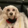 Dragoneme - @dragoneme - TikTok