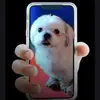 Drago Krpanić - @drago.krpanic - TikTok