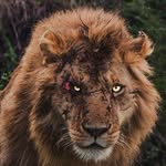 drago vidovic - @godra.47 - Instagram