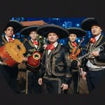 Mariachi Dragon (China) - @mariachidragon - Instagram