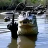 Dragon Lee - @dragon.lee52 - TikTok
