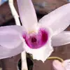 Thìn Nguyễn - @dragonnnguyen - TikTok