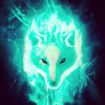Mathias Simetsberger - @dragon__player - Instagram