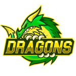 Dragons Oficial - @team_dragonsoff - Instagram