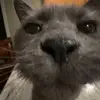 Dragonsofblia - @dragonsofblia - TikTok