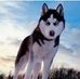 Dragos Baciu - Facebook