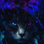 דּרָגוֹשׁ בָּדֶאָ - @_dragos_badea_ - Instagram
