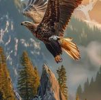 Dragos Barbu - Facebook