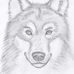 Dragos Damian - Facebook