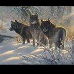 Dragos Mocanu - @dragos_mocanu74 - Instagram