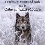 Dragos Nastase - @dragos.nastase.94 - Instagram
