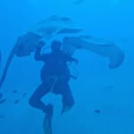 Dragos Nastase - @dragonflamemaster - Instagram