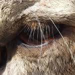 Dragos Florin Stefanescu - @dragosflorinstefanescu - Instagram