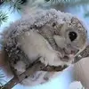 Dragos Stefanescu722 - @dragosstefanescu33 - TikTok