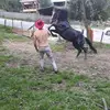 Dragos Stefanescu - @dragosstefanescu1 - TikTok