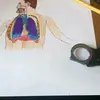 Stefanescu Dragos - @stefanescudragos1 - TikTok