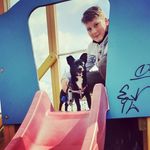 dragostudose - @tudosedragos - Instagram