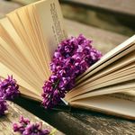 Dragos Tudose - @dtudose76 - Instagram