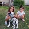 Dragoslav Popovic - @dragoslav.popovic3 - TikTok