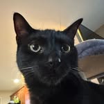 Drake Adams - @drakeadams0823 - Instagram