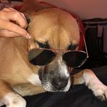 Drake Adams - @drakeisgreat_1 - Instagram