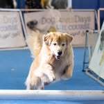 Drake Allen - @drakethe_golden - Instagram