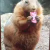 drakebarrett885 - @drakebarrett885 - TikTok