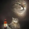 drake - @drake.benedict - TikTok