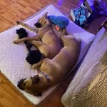 Drake Bowen - @backupaccount_for_drake - Instagram
