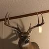 drakebuchanan48 - @drakebuchanan48 - TikTok