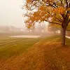 Drake - @drake.davis26 - TikTok