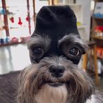 Drake Dodson - @drakedjkhaledd - Instagram