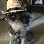 Drake Hodge - @drakehodge - Instagram