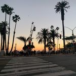 Catherine Drake-Maynard - @meowcjm - Instagram