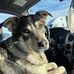 Drake Patterson - Facebook