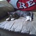 Donna M Patton Drake - Facebook