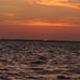Drake Patton - Facebook