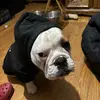 PossibleSlaveOwner - @drakepatton - TikTok